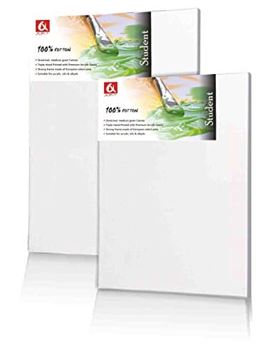 Quantum Art Student Stretched Canvas, 100% Pure Cotton, White, 40x100 cm - 16x40 inch Reinforced art surface