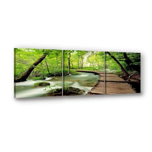 Visario Pictures on canvas length length 59 height 20 Nr 4216 Nature ready to hang, brand original ! Wall art
