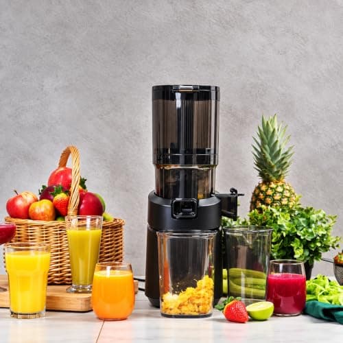 ARSHIA 3676 250W Juice Extractor with Powerful Motor, Stainless Steel Filter, Wide Feeding Chute, Efficient Juice Extraction and Easy-Clean Design for Fresh Fruit and Vegetables Juicer