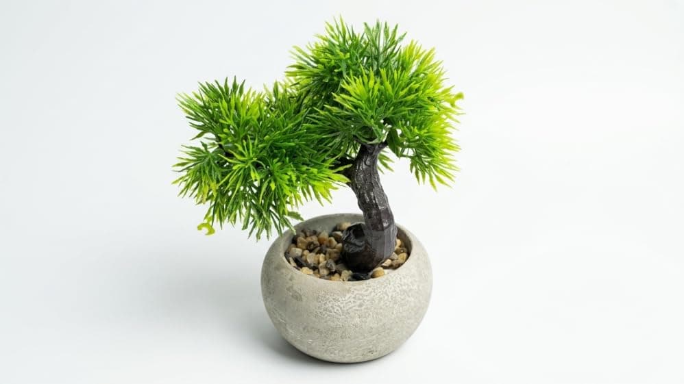 Artificial Decorative Tree in Round Pot with Decorative Stones | No need care,suitable for office and home,realistic looking plant, coffee shops and gifts, interior decoration