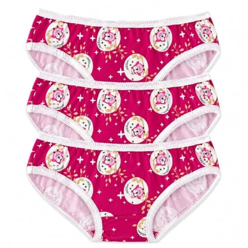ZECOTEX Women’s 3-Pack Cotton Underwear Panties | Soft Breathable Everyday Comfort | Assorted Styles|Sizes XS–2XL Underpants