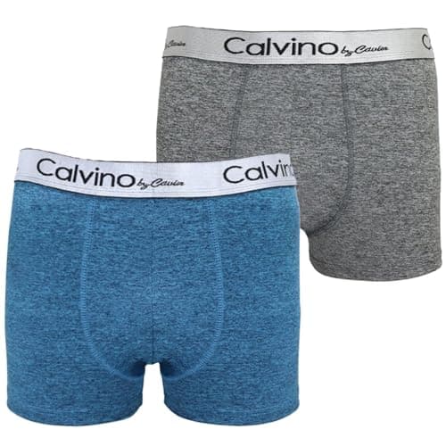 Calvino Mens Microfiber Set Of 2 Pieces Boxer Short Dry Fit Underwear (pack of 1) Underpants