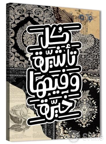 Skills Wall Decor Oriental Canvas Print "Every Visa and It is Finest" - High Quality Print on Canvas0020 - Suitable for Living Rooms, Offices (30cm x 40cm)