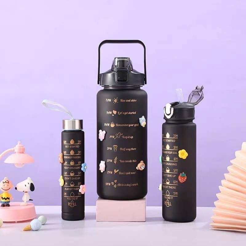 3 Piece Water Bottle Set with 2L 1L and 500ml Capacities Includes Stainless Steel Lid Carrying Strap and Straw for Gym Sport and Daily Hydration