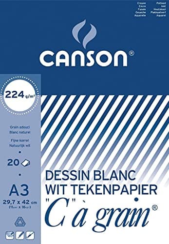 C Grained Drawing Pad, 29.7 cm x 42 cm, 224 g, 20 Sheets Art media paper