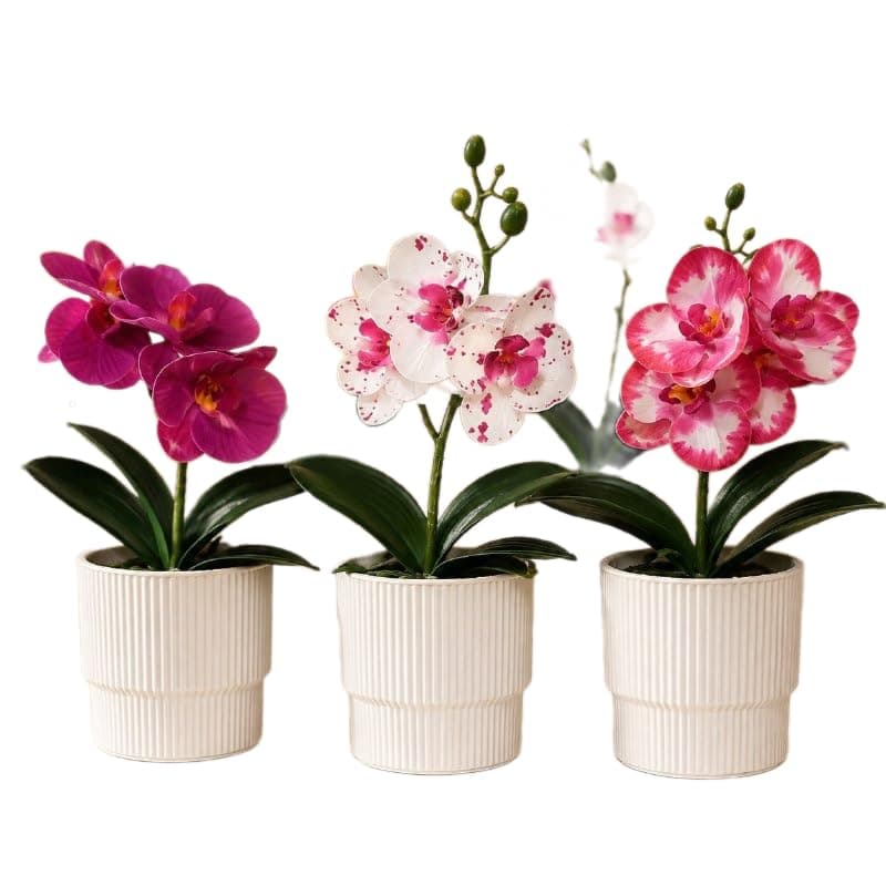 Artificial Planting Boots - Plant Decor for Home Office Decoration and Space Planter Q Artificial tree