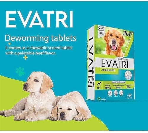 Dog's Oral Tablets (12 Pieces)