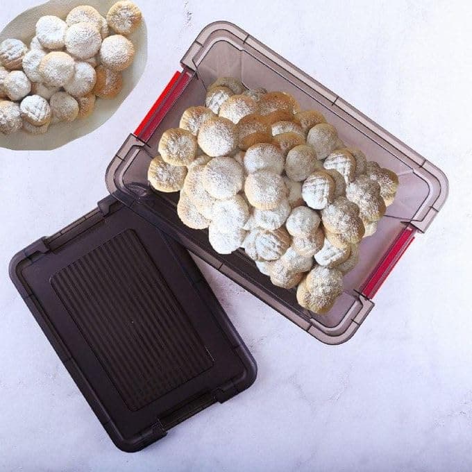 16L Plastic Storage Box with Secure Lid for Organizing Clothes and Items