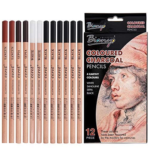 Johiux 12 Pcs Coloured Charcoal Pencil Set, Charcoal Drawing Pencils for Beginners, 4 Colors 3 Hardness. Writing instrument