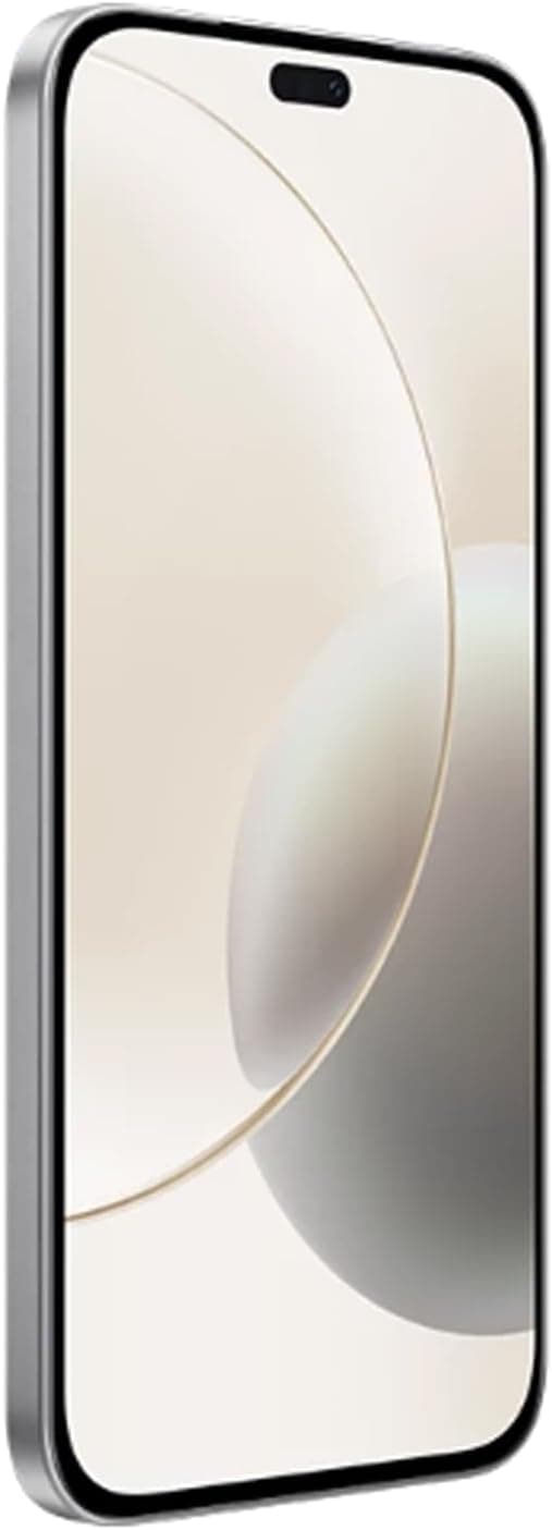 Honor 400 Pro , 12 GB , 12 GB , 5G , Dual-SIM - Lunar Grey