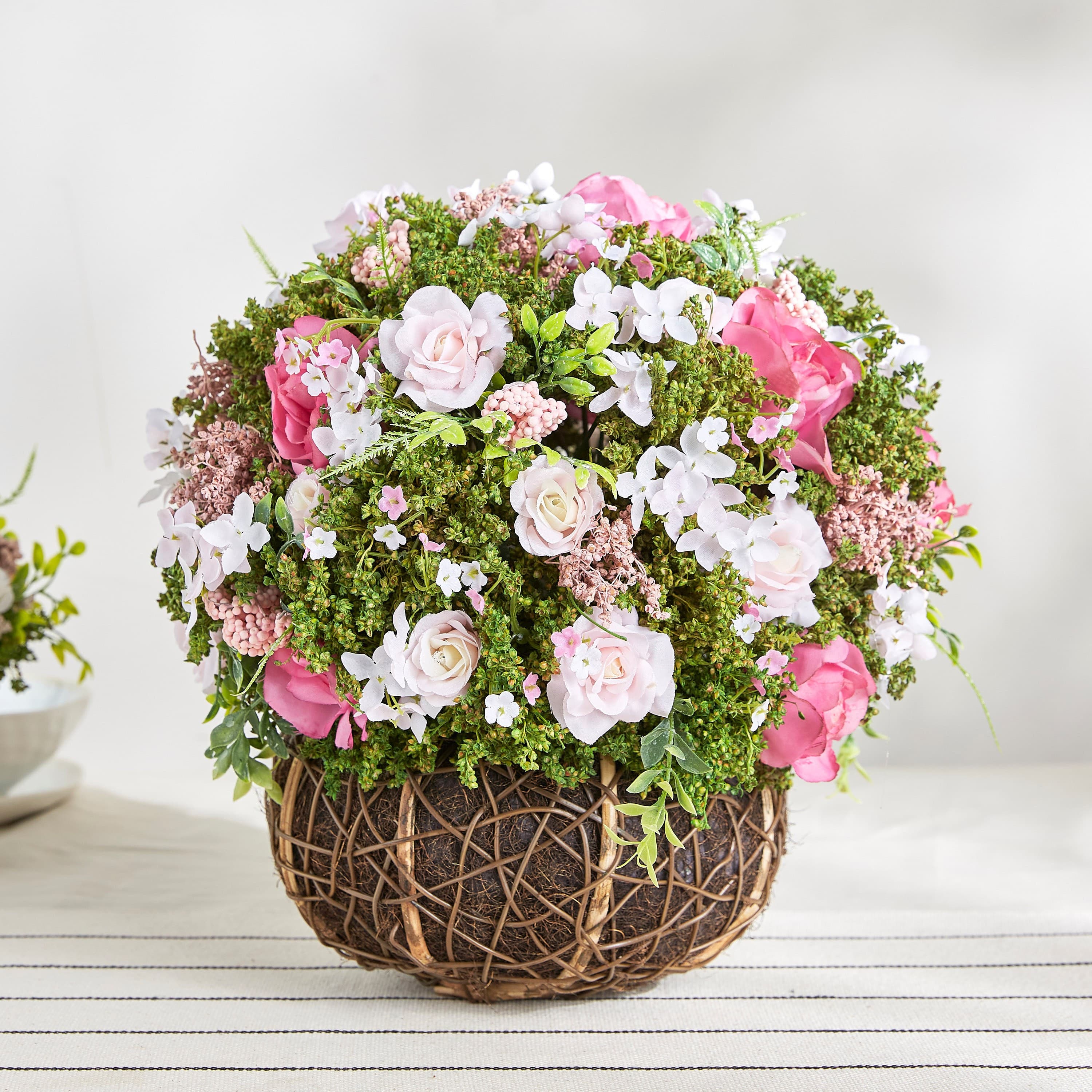 Zia Rose Plant with Pot - 58 cm Stems, Flowers & Arrangements