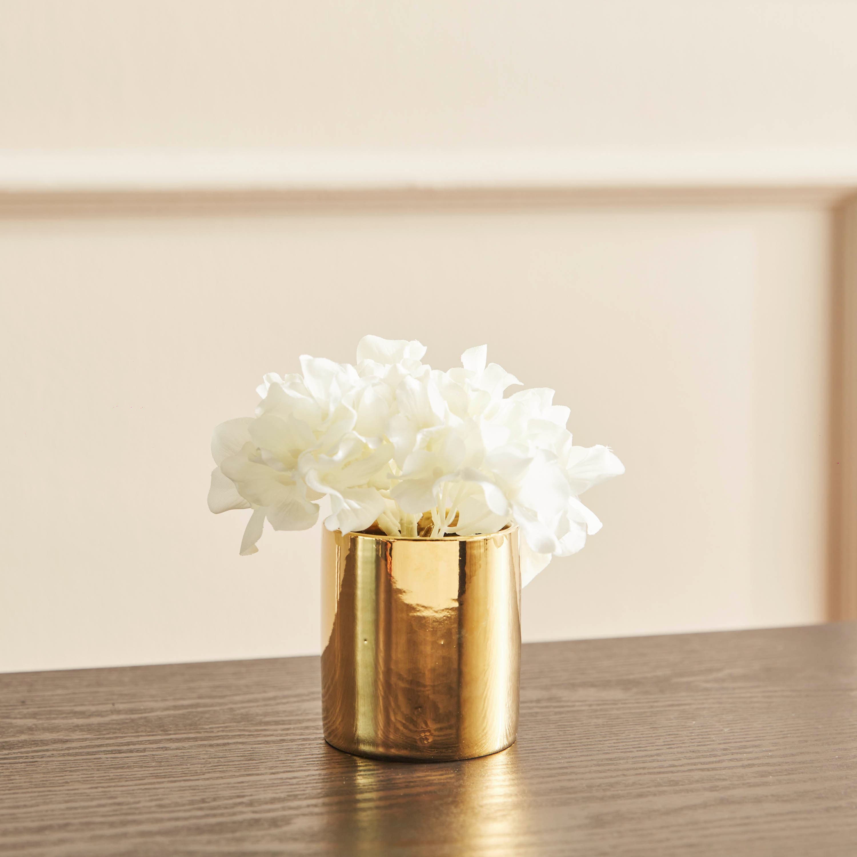 Suzie Hydrangea Flower with Pot - 13 cm Stems, Flowers & Arrangements