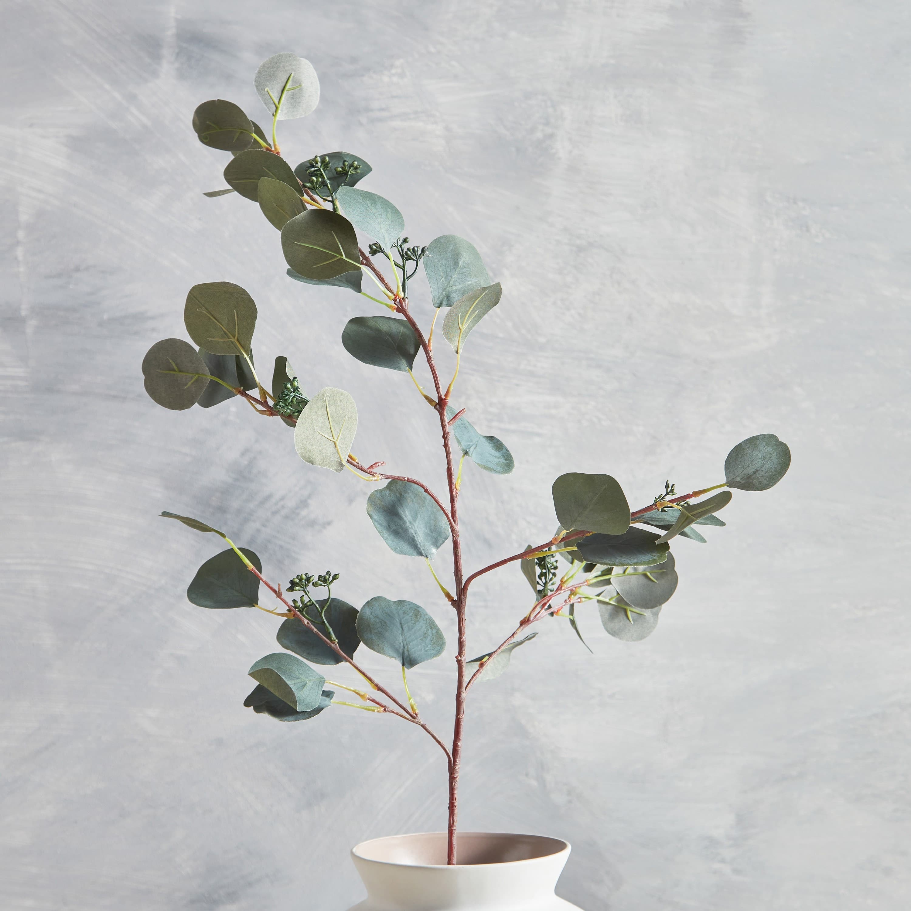 Eucalyptus Spray with Berries - 89 cm
