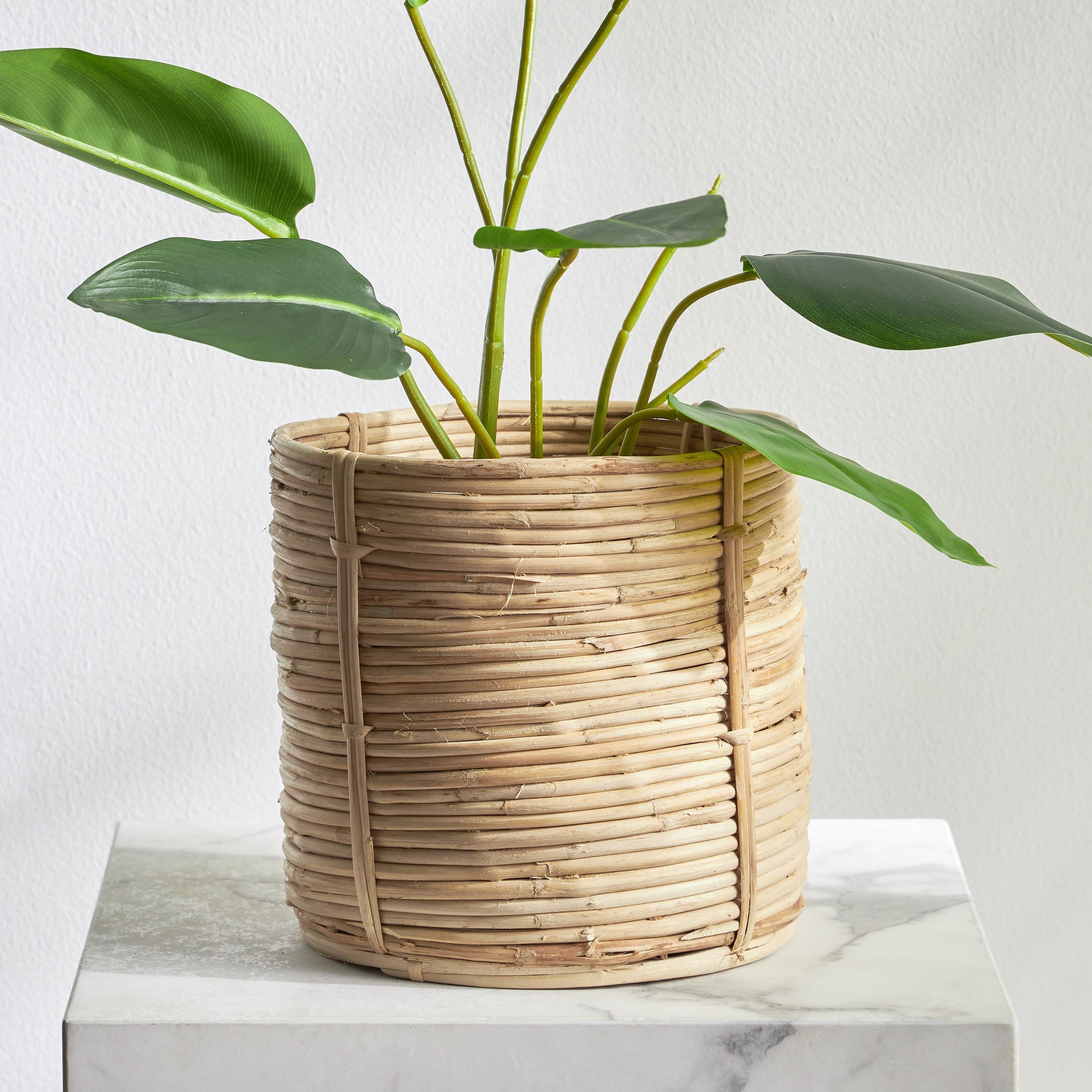 Deia Rattan Planter - 20 cm Pots & Planters
