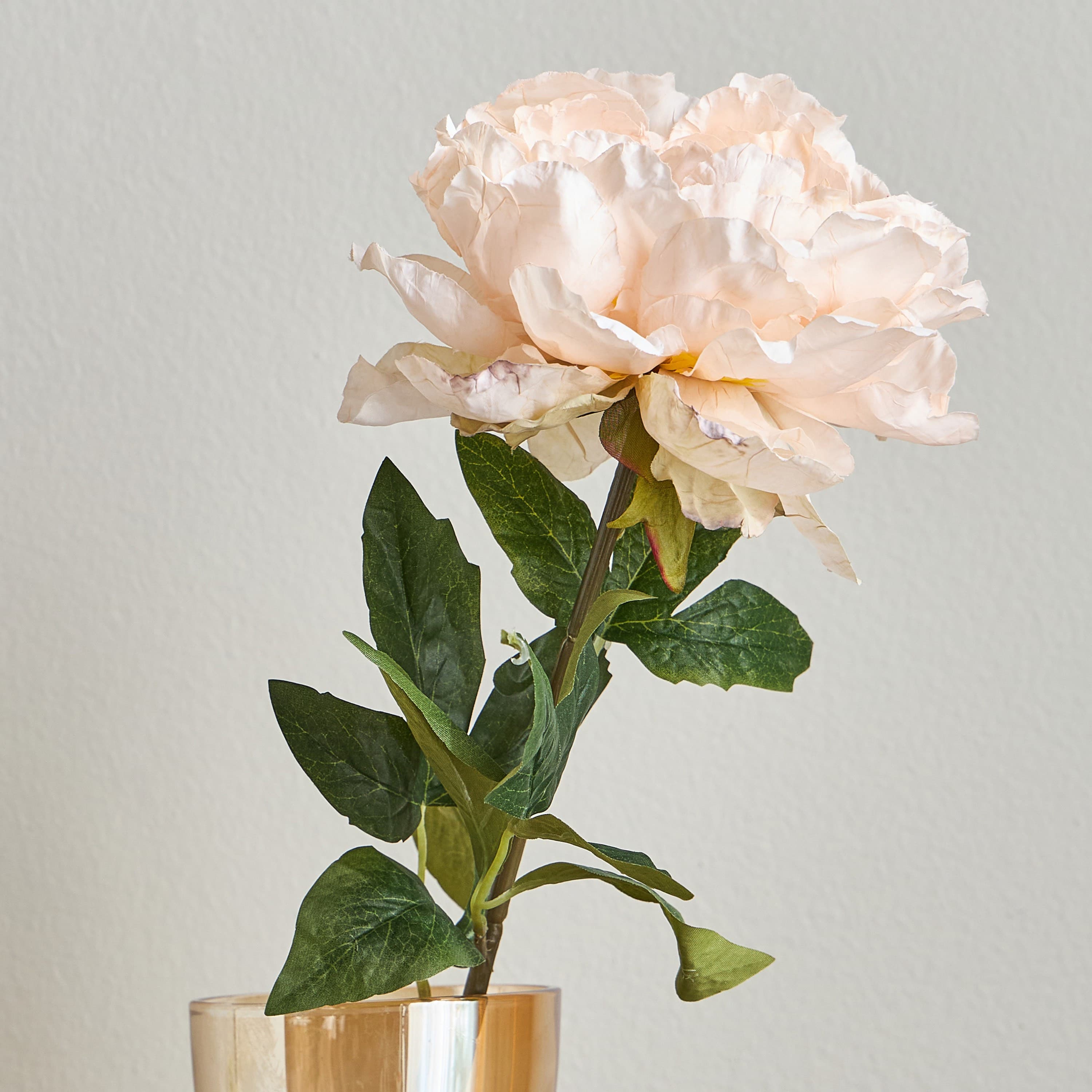Wrinkled Peony Single Stem - 73 cm Stems, Flowers & Arrangements