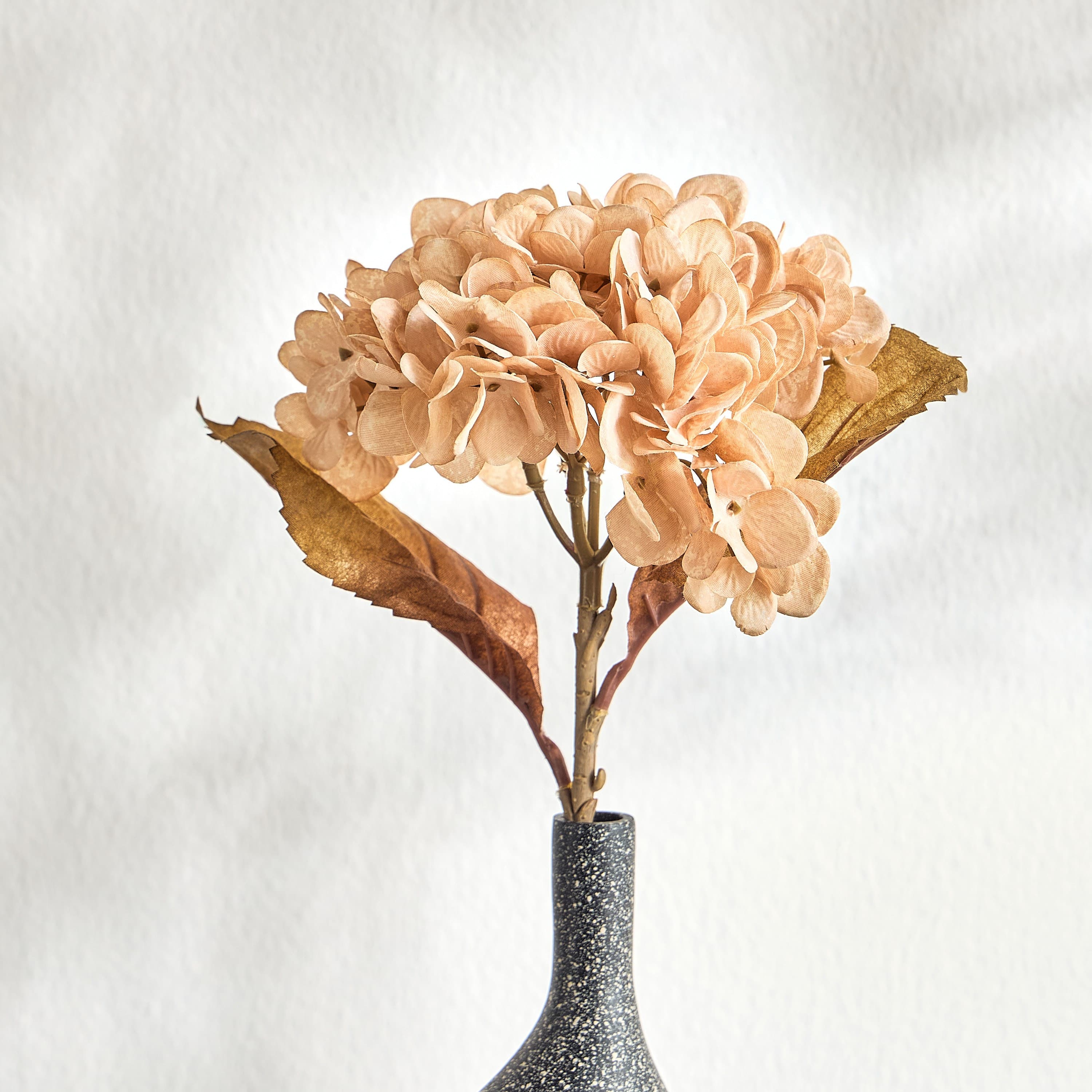 Autumn Fleur Hydrangea Flower Stems, Flowers & Arrangements