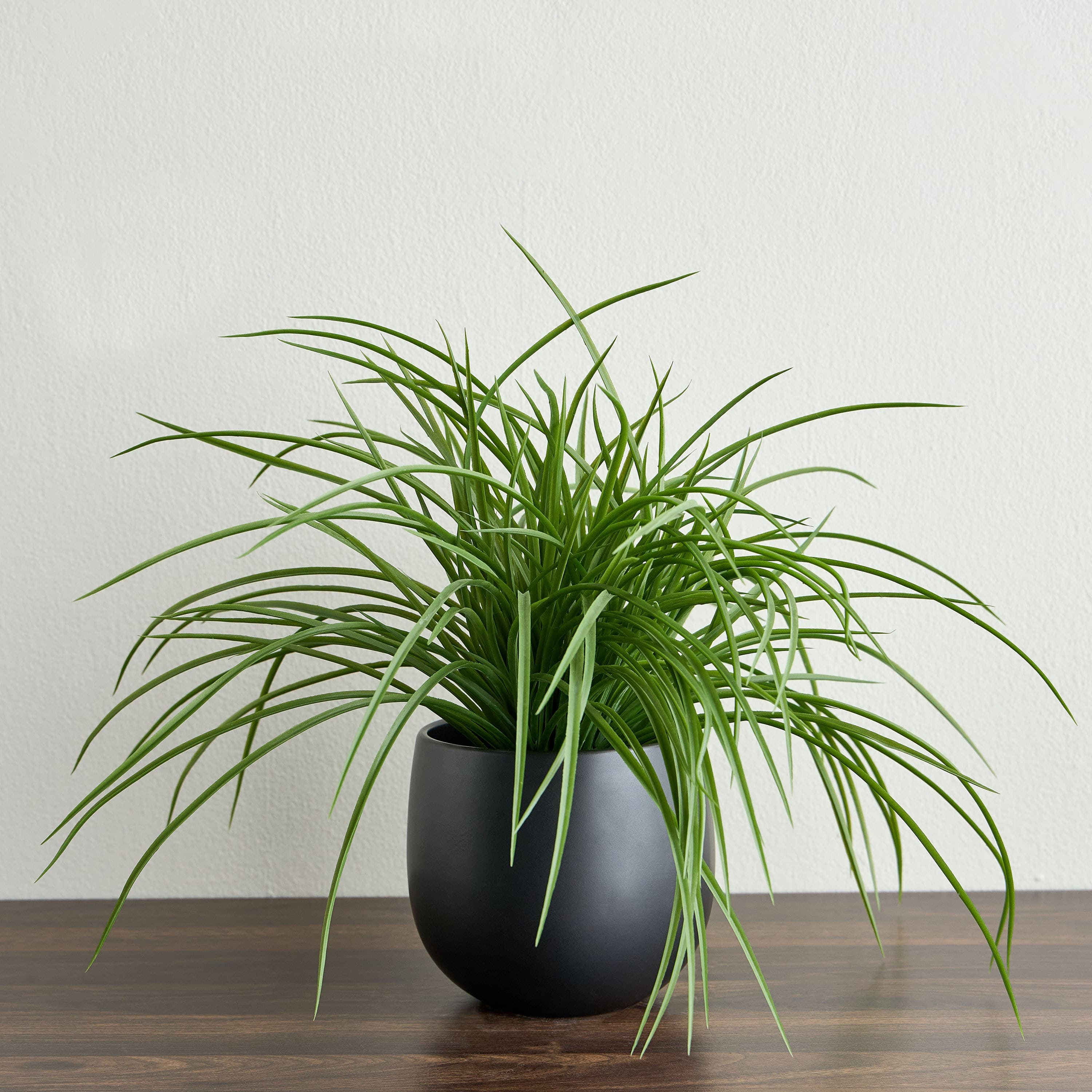 Urbano Grass Plant in Ceramic Pot - 50 cm Potted Plants