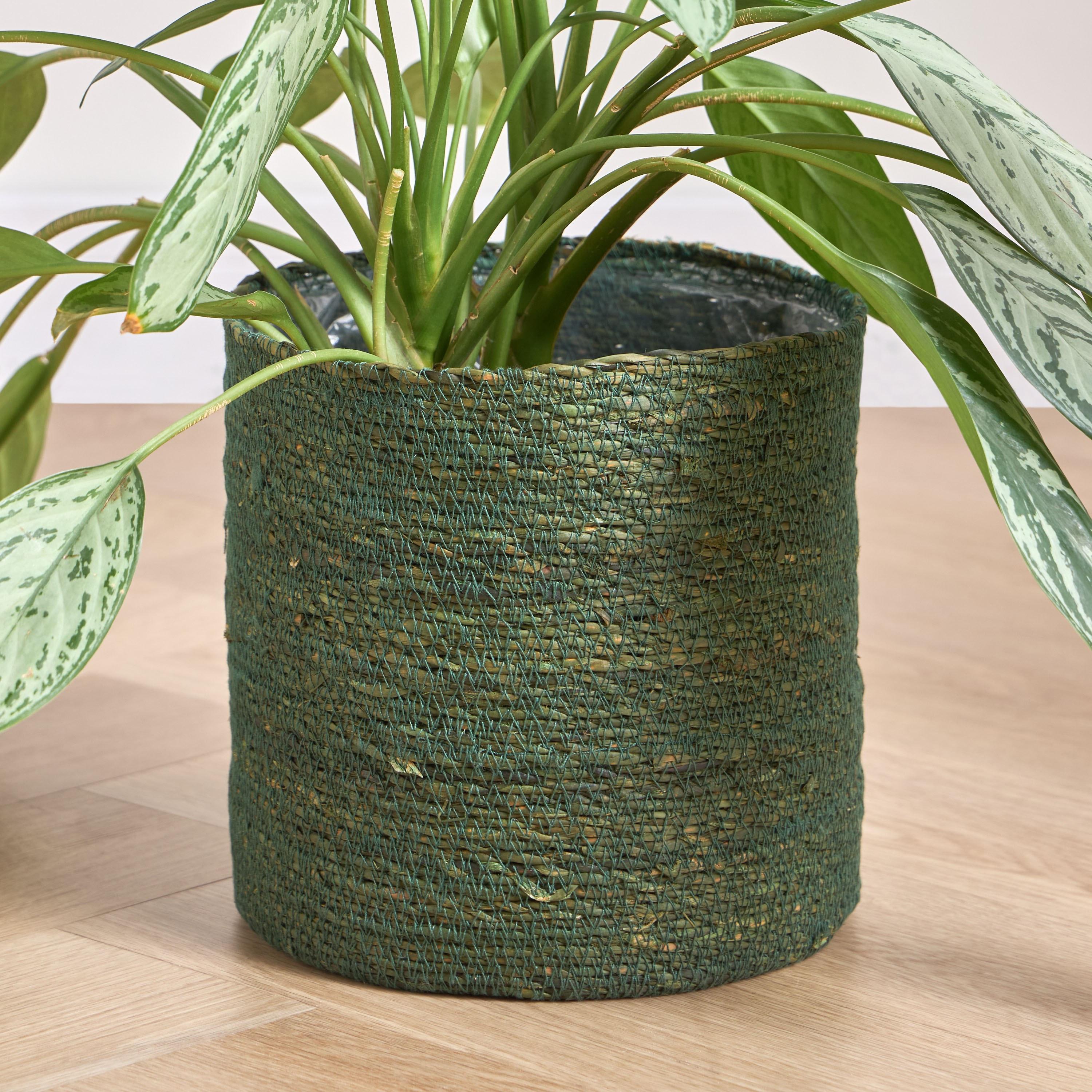 Caresto Seagrass Planter - 22 cm Pots & Planters