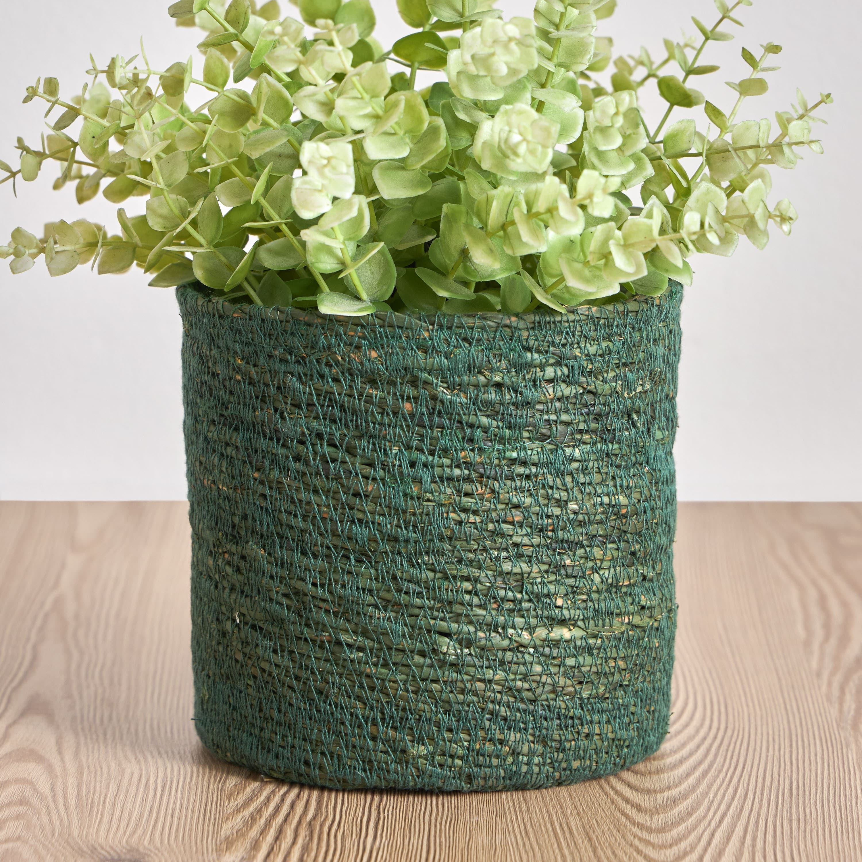 Caresto Seagrass Planter - 15 cm Pots & Planters