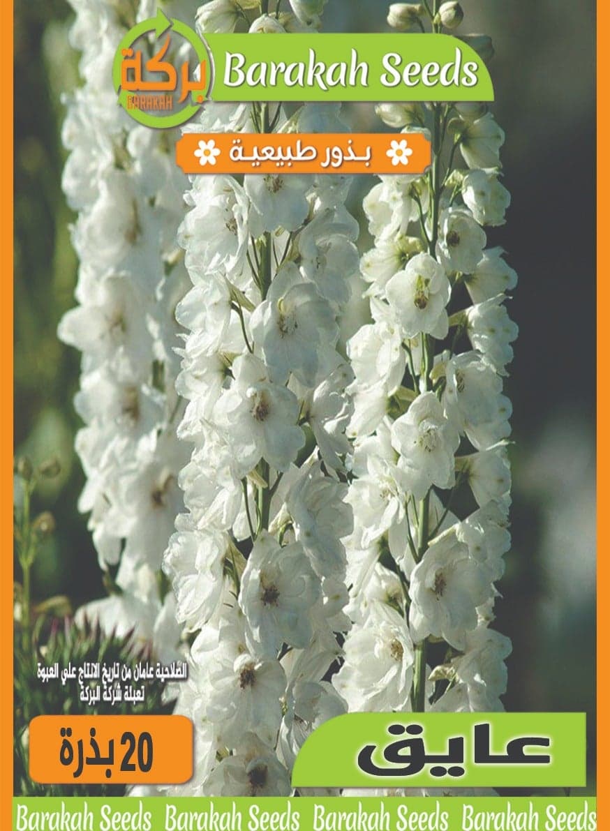 High germination rate flower seeds - aromatic - Aik flower