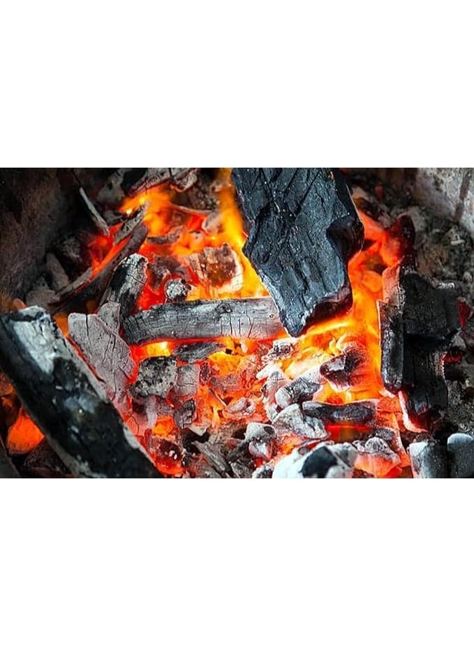 Multi-Purpose Natural Wood Charcoal Chunks for Grilling Gardening and Air Purification 1 kg Bag Charcoal, Fuel & Firestarters (٦)