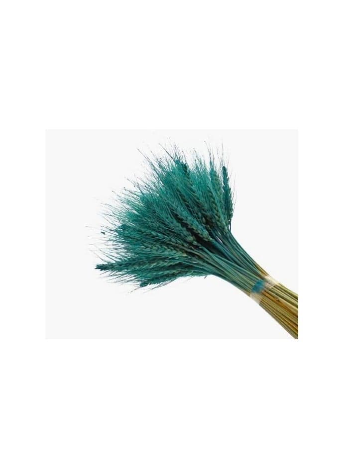 Dried Wheat Bundles, Natural and Coloured Stems, Decorative Wheat Stalks for Home Decor, Multiple Bundle Sizes (Blue Bayou, (2)