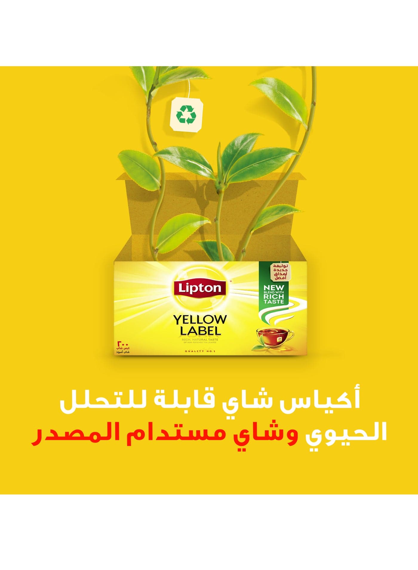 Black Tea 500g (4)