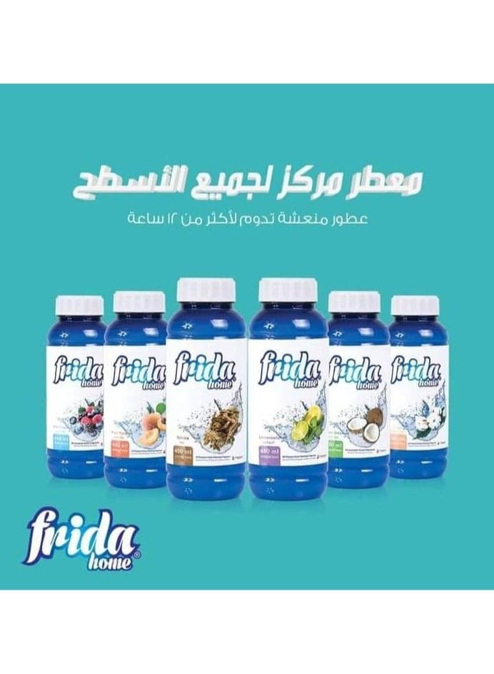 Frida Home All Purpose Home Cleaning Fragrance Clean 480 Ml All Purpose Cleaners (7)