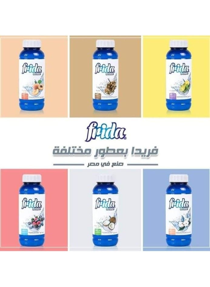 Frida Home All Purpose Home Cleaning Fragrance Clean 480 Ml All Purpose Cleaners (8)