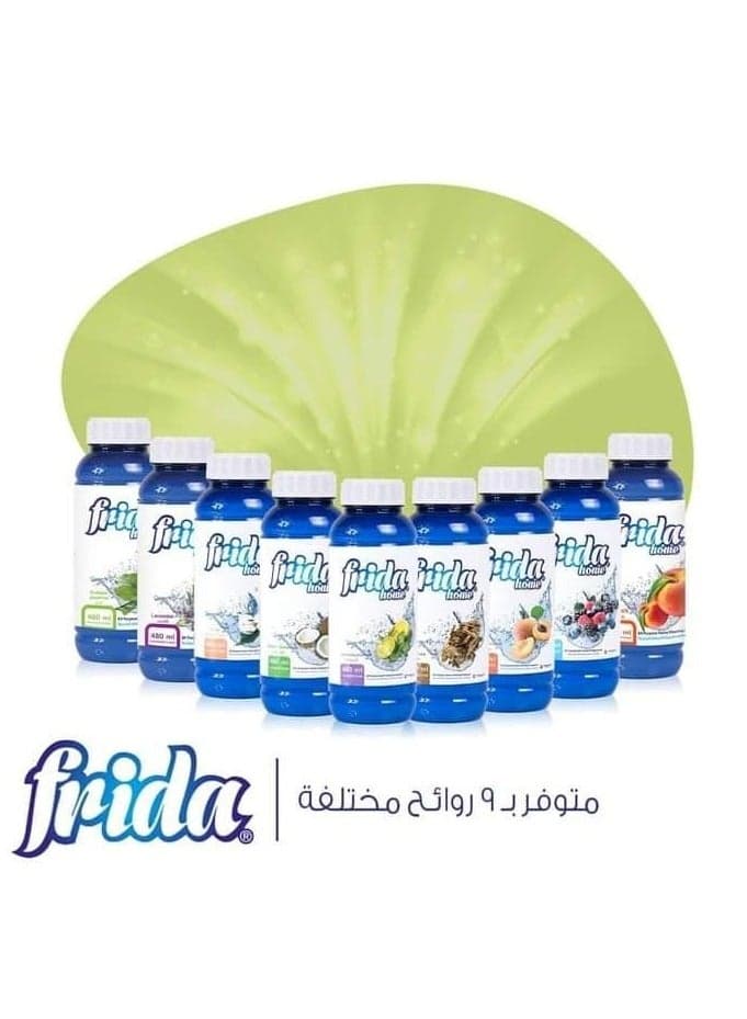 Frida Home All Purpose Home Cleaning Fragrance Clean 480 Ml All Purpose Cleaners (10)
