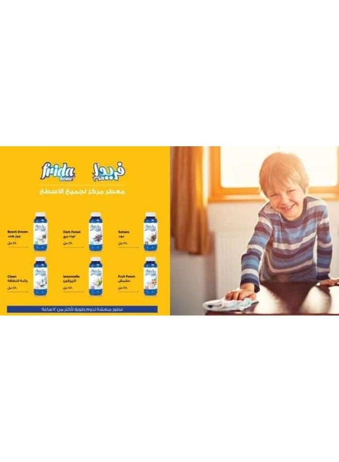Frida Home All Purpose Home Cleaning Fragrance Clean 480 Ml All Purpose Cleaners (9)