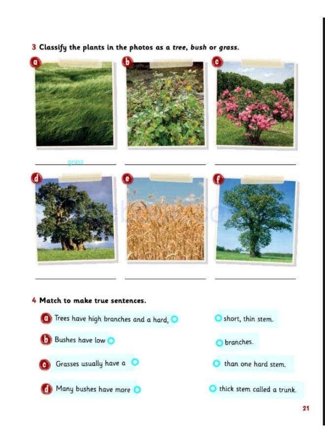 Cambridge Science Skills - course for young learners_ level 3_Activity_Book Primary School (٢)