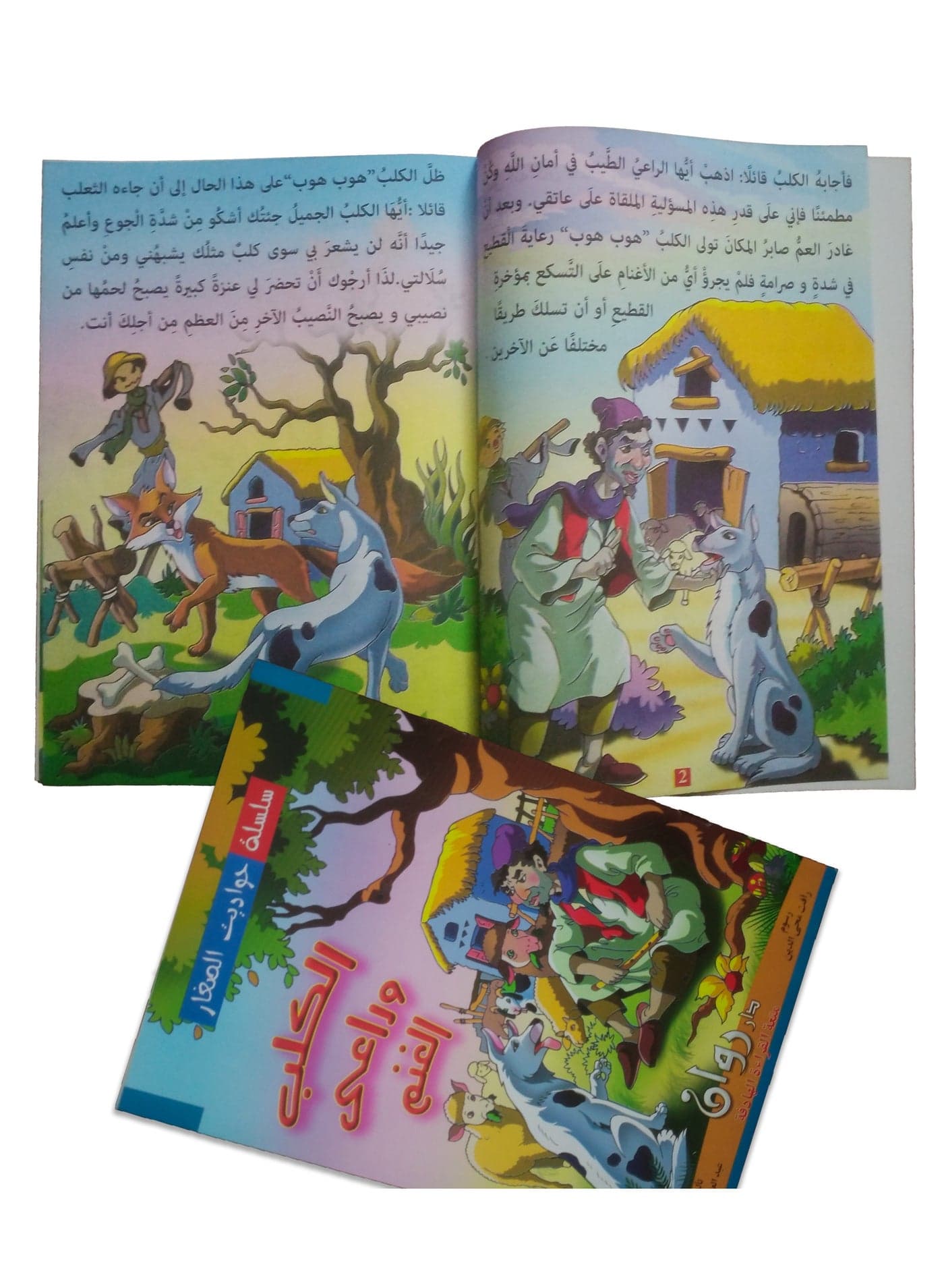 Little Tales Series - Colorful books for children to enjoy and have fun - Contains 10 books Children's Adventure Books (5)
