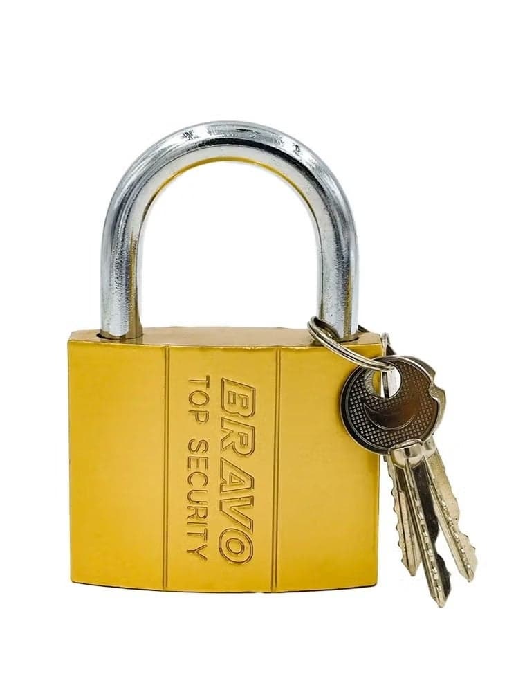 high quality lock is durable and safe. They come in different models, high security with 3 keys (63 mm) and others with different key numbers and sizes