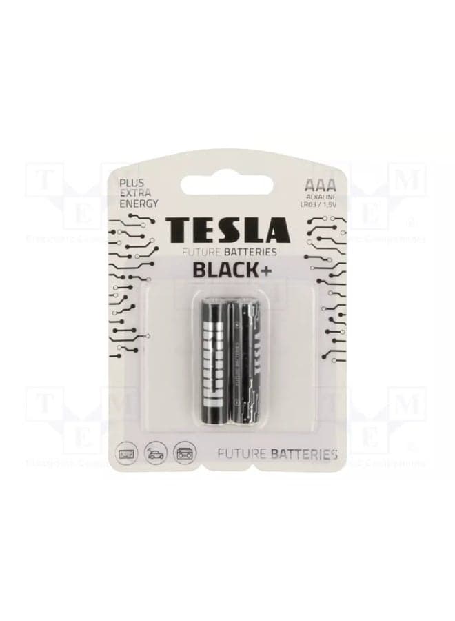 TESLA BLACK+ AAA Alkaline Batteries, LR03, 1.5V, Pack of 2 Household Batteries