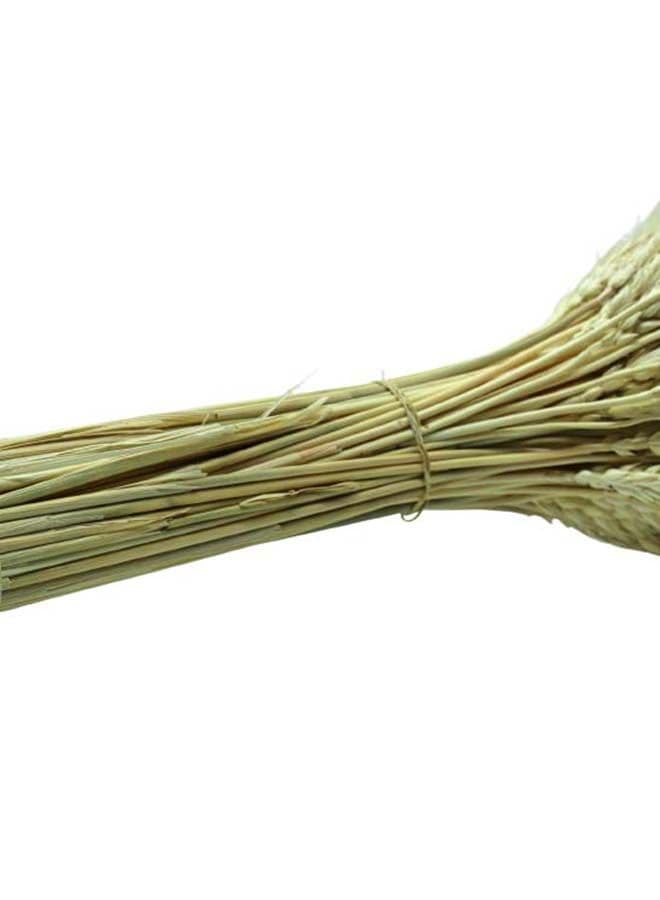 FANCY Dried Wheat Stems – Natural Decorative Bundle for Vases & Home Décor Artificial Flowers (٤)