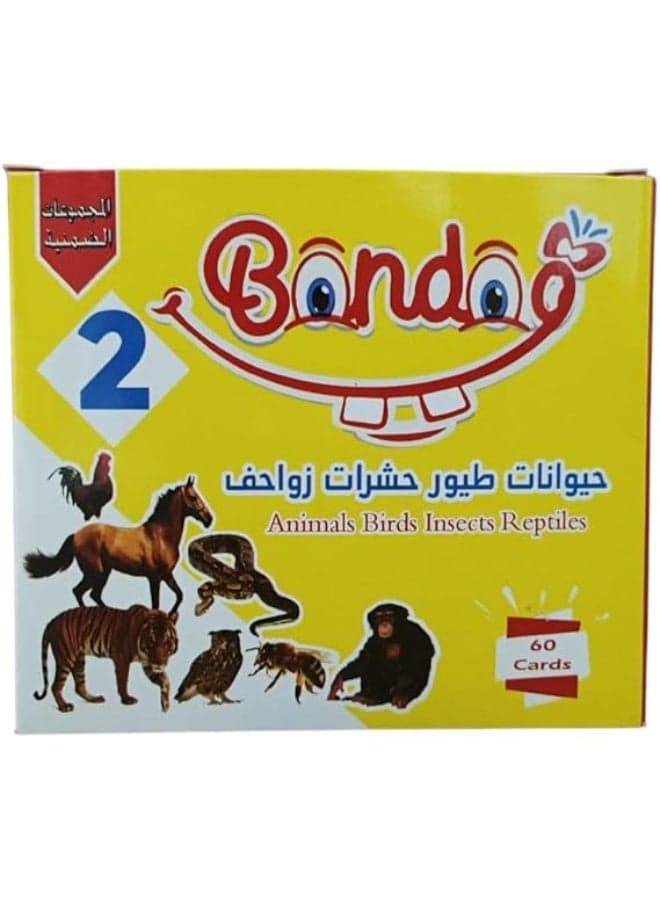 Bondok Animals, birds, insects, reptiles Flashcards to Increase Learning Focus and Develop Children's Observation Skills, Set of 60 Cards Early Development Toys