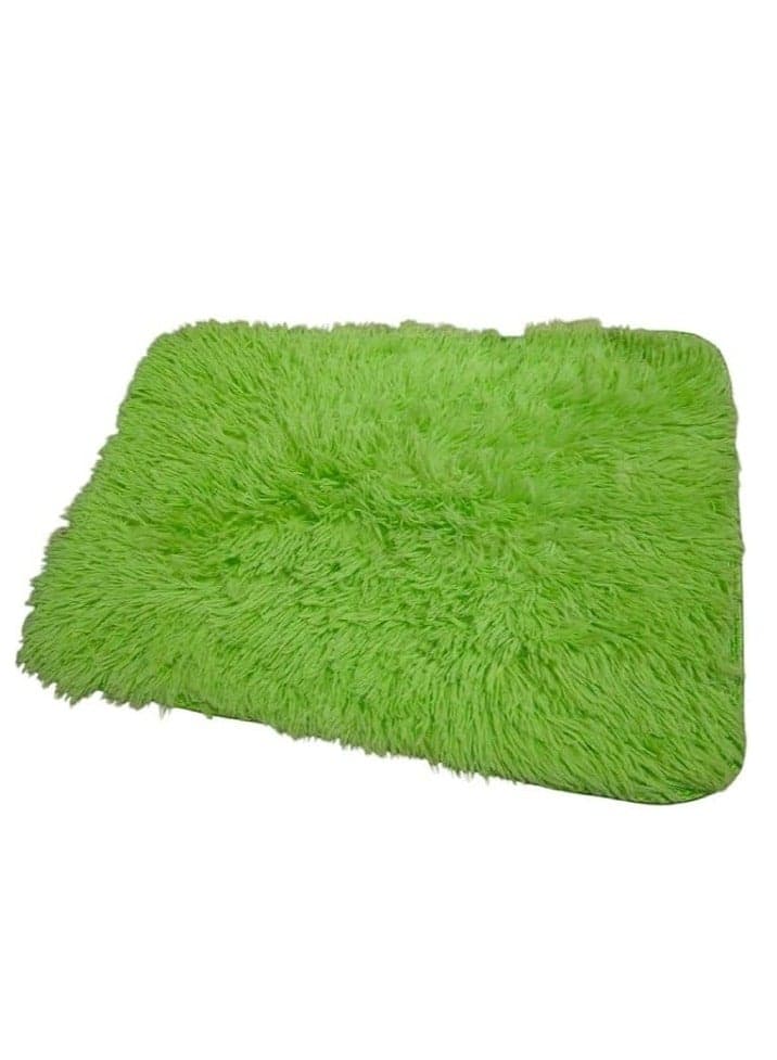 Area Rug for Living Room, Indoor Shag Fuzzy Carpets, Fluffy Faux Fur Rugs, Non-Slip High Pile Shaggy Carpets, Ultra Soft Plush Rugs for Bedroom Home Decor size 60 * 40