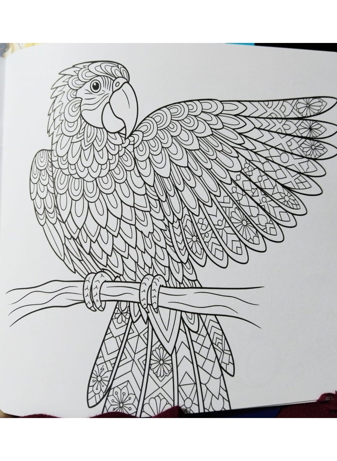Coloring Book 24 " Pets" Drawing Mandala Suitable For Adults And Kids Drawing & Painting Supplies (٣)