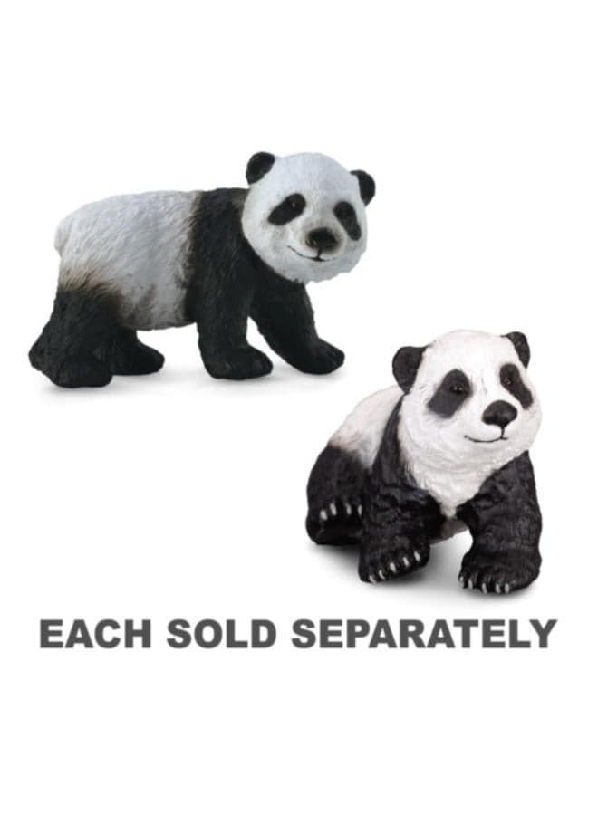 CollectA Wild Life Giant Panda Cub (Sitting) Miniature Toy Figure - Authentic Hand Painted Model (3)