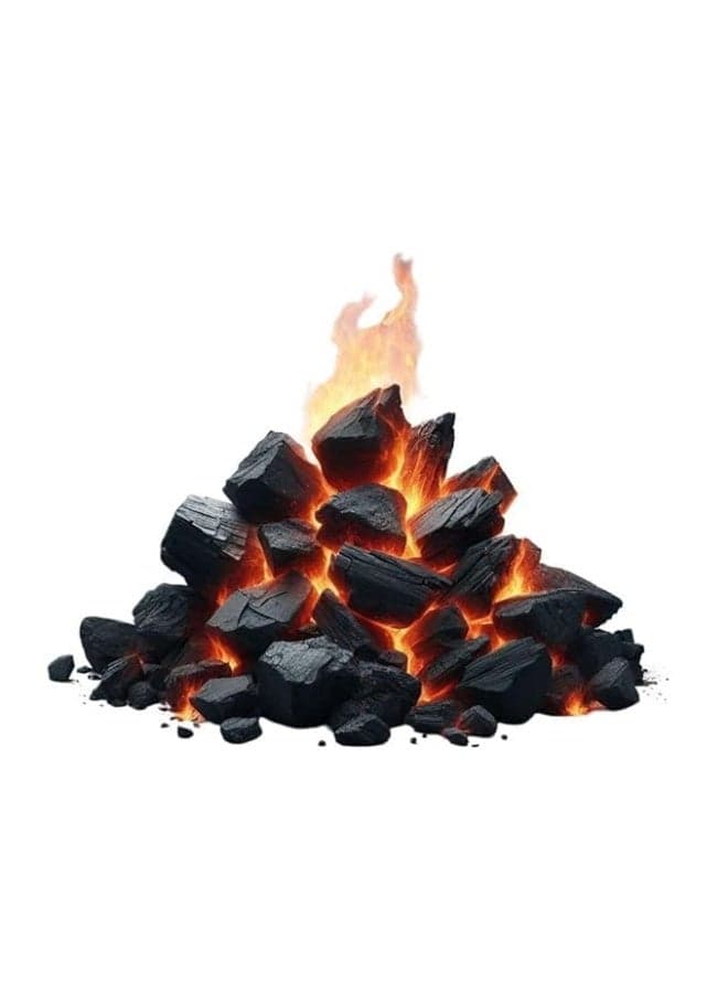 900g Natural Charcoal Briquettes | Versatile Charcoal for Winter Heating, Barbecuing, Cooking, Tandoori, Religious Rituals, and Gardening | Long Burning Time, Low Smoke, and Eco-Friendly Barbeque Grills (4)