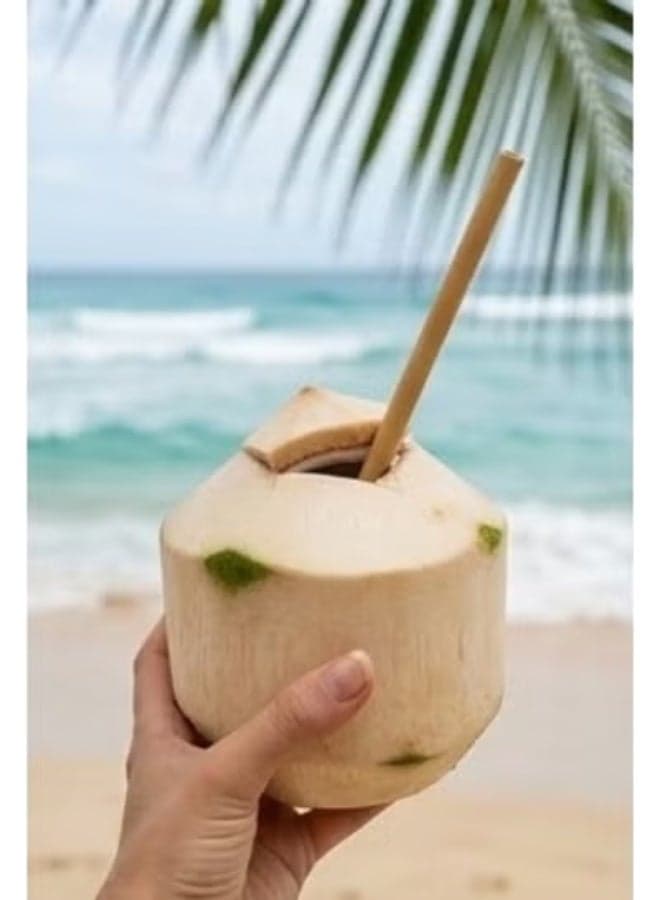 Premium Reusable Bamboo Straws Set 4 Pieces 20 cm High Quality Natural Bamboo with Cleaning Brush (5)