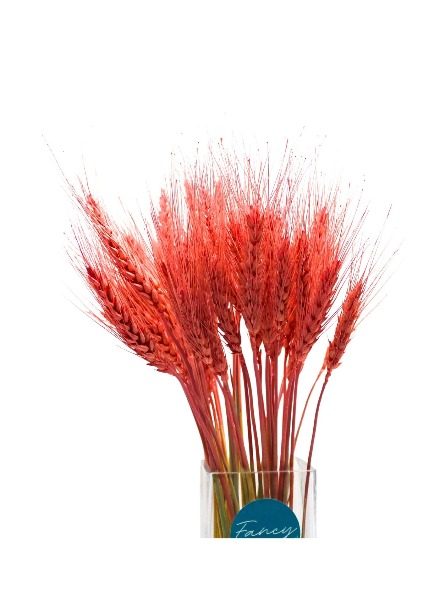 FANCY Dry Wheat Grass Bouquet – Natural 25 Stems, Old Rose Color (5)