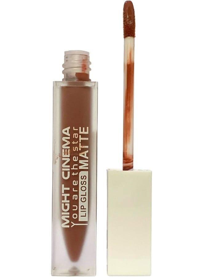 Lip Gloss Matte Velvety Waterproof - Shade Number 205