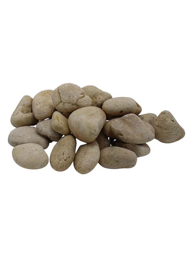 Decorative Natural White Stones For Flowerpot Garden Decoration Landscaping Wedding Home Vase Aquarium (7) Outdoor Decor (٢)