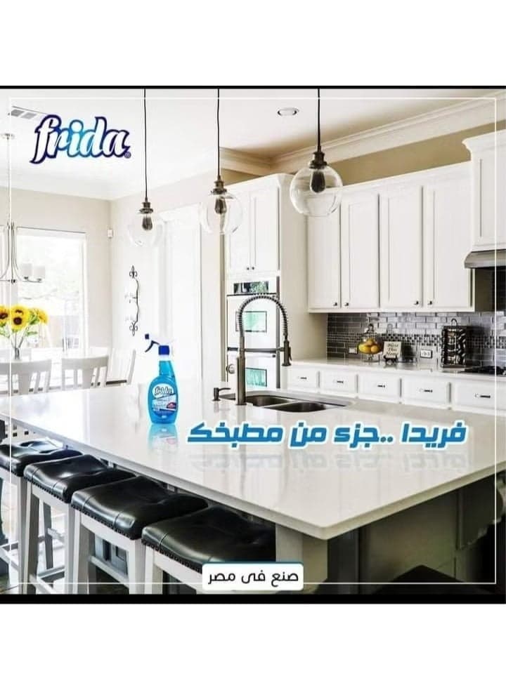 Frida Glass Cleaner 2 Of Pack - 1200 Ml Household Glass Cleaners (١٠)