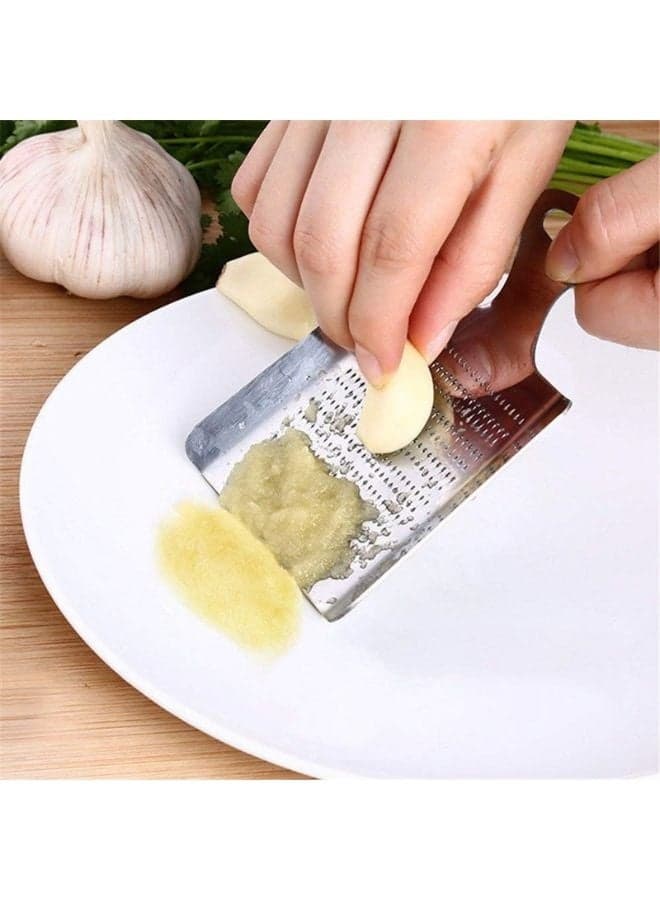 Mini Stainless Steel Ginger Garlic Grater for Fine Grating/Mincing, Shovel-Shaped Food Grater for Ginger, Mini Ginger Grater for Garlic, Fruits and Root, Silver, 1-Piece (٤)