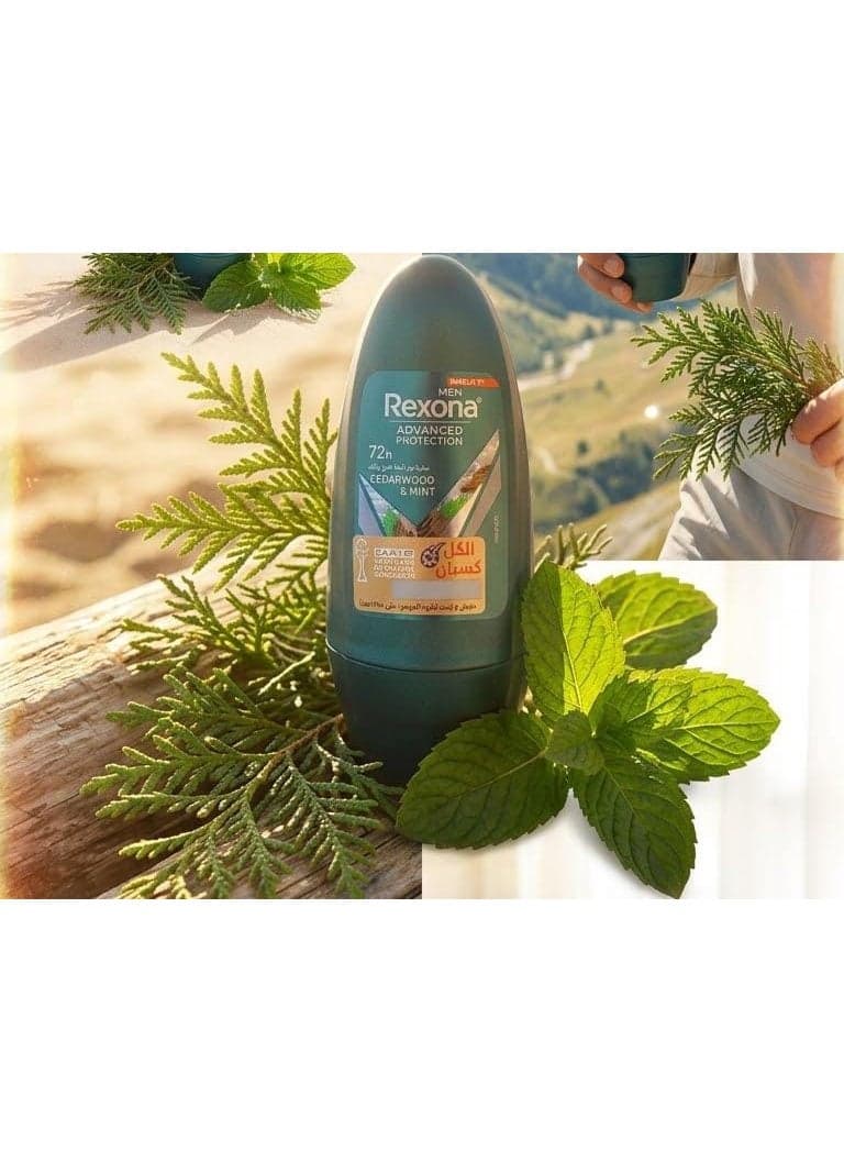 Rexona Roll-On Cedar Wood & Mint For Men 50 Ml (Packaging may vary) Deodorants & Antiperspirants (5)
