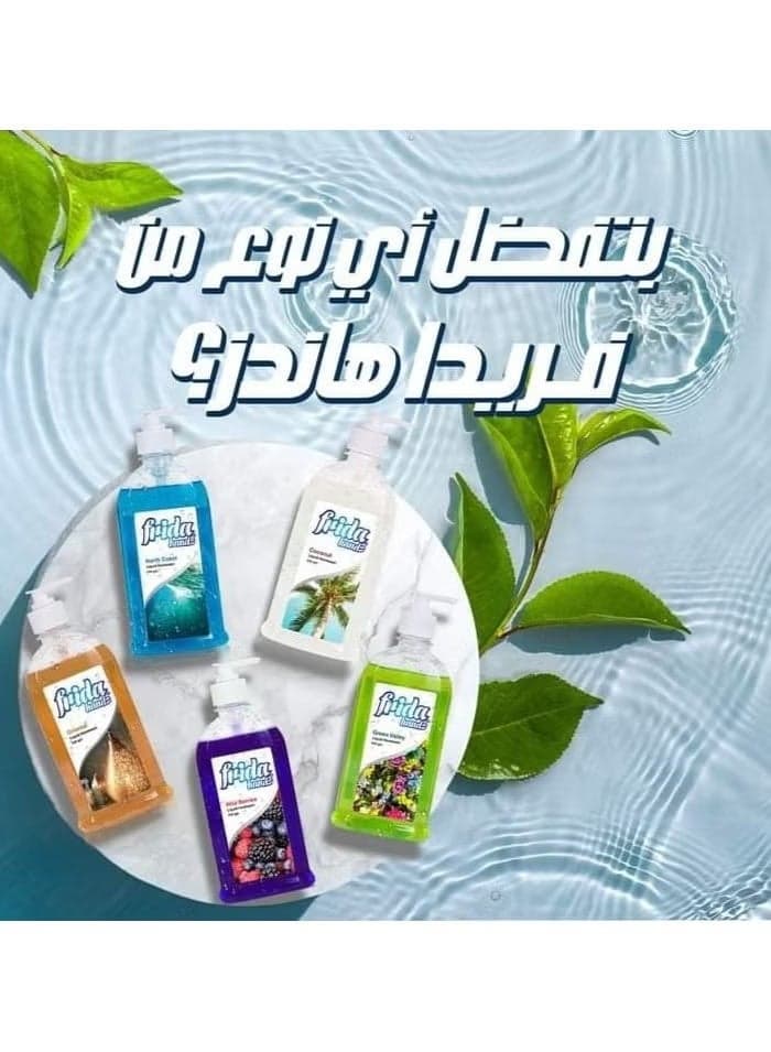 فريدا غسول اليدين السائل بالتوت البري 1+1 1040 مل (4)