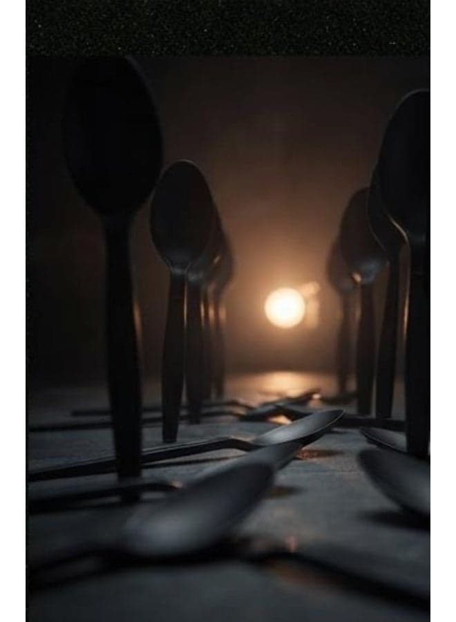 Spoons Black Plastic 20 Ps (Packaging May Vary) Spoons & Spoon Sets (٦)